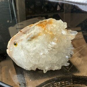 QUARTZ CRYSTAL CLUSTER HAND CARVED FISH